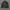 FUGA Grunge Goth Denim jacket Pria gray photo 3
