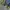 Baracuta Vintage Casual Harrington jacket Pria green photo 7