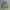 Baracuta Vintage Casual Harrington jacket Pria green photo 1
