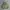 Baracuta Vintage Casual Harrington Jacket Pria Green