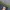 Baracuta Vintage Casual Harrington jacket Pria green photo 8