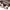 ZARA Streetwear Sweater Wanita multicolor photo 3