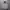 Casual Hoody Pria gray photo 1