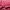 Kappa Casual Hoody Pria burgundy photo 5