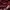 Kappa Casual Hoody Pria burgundy photo 6