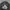 Ben Davis Streetwear Casual Bomber jacket Pria black photo 3