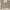 Vintage Y2K Flare pants Wanita tan photo 2