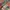 Y2K Coquette Sweater Wanita multicolor photo 3