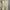 Minimalist Casual Wanita white photo 1