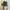 Dior Luxury Hat Wanita black photo 1