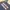 Tommy Hilfiger Vintage Y2K Dungaree Pria navy blue photo 2