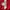 Nautica Luxury Biker Puffer jacket Pria red gray photo 5