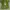 Y2K Casual Shirt Wanita green photo 1