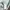 H&M Lolita Midi dress Wanita multicolor photo 5
