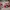 Nike Minimalist Sneakers Pria white red photo 1