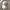 Sportswear Casual Hat Pria white photo 1
