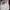 Sportswear Casual Hat Pria white photo 4