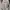 Casual Sweatshirt Pria gray photo 6