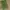 Shein Streetwear Minimalist Handbag Wanita green photo 2