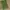 Shein Streetwear Minimalist Handbag Wanita Green
