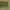 Shein Streetwear Minimalist Handbag Wanita green photo 1