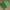 Shein Streetwear Minimalist Handbag Wanita green photo 3