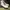 H&M Vintage Biker Boots Wanita white black photo 3
