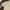 Casual Polo shirt Pria cream photo 4