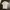 Casual Polo shirt Pria cream photo 1