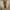 Balenciaga Lolita Cosplay Sneakers Wanita multicolor white photo 1