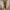 Balenciaga Lolita Cosplay Sneakers Wanita Multicolor White