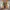 Balenciaga Lolita Cosplay Sneakers Wanita multicolor white photo 4