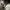 Balenciaga Lolita Cosplay Sneakers Wanita multicolor white photo 3