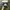 Adidas Streetwear Casual Casual shoe Pria white black photo 5