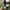 Adidas Streetwear Casual Casual shoe Pria white black photo 3