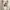 Minimalist Casual Midi dress Wanita white black photo 2