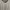 Minimalist Casual Midi dress Wanita white black photo 5