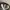 Nike Streetwear Sportswear Hat Pria white brown photo 5