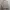 Polo Ralph Lauren Vintage Harrington jacket Pria tan photo 4