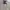 Polo Ralph Lauren Vintage Harrington jacket Pria tan photo 2