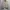 Polo Ralph Lauren Vintage Harrington jacket Pria tan photo 1
