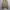 Polo Ralph Lauren Casual Harrington jacket Pria brown photo 3