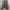 Polo Ralph Lauren Casual Harrington jacket Pria brown photo 4