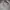 Nike Sportswear Hoody Pria gray photo 1