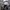 Nike Sportswear Hoody Pria gray photo 6