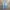 Bobson Vintage Y2K Jeans Pria blue photo 1