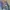 Bobson Vintage Y2K Jeans Pria blue photo 5