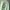 Luxury Casual T-shirt Pria green photo 4