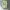 Luxury Casual T-shirt Pria green photo 1