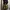 Vintage Formal Pants Pria Multicolor